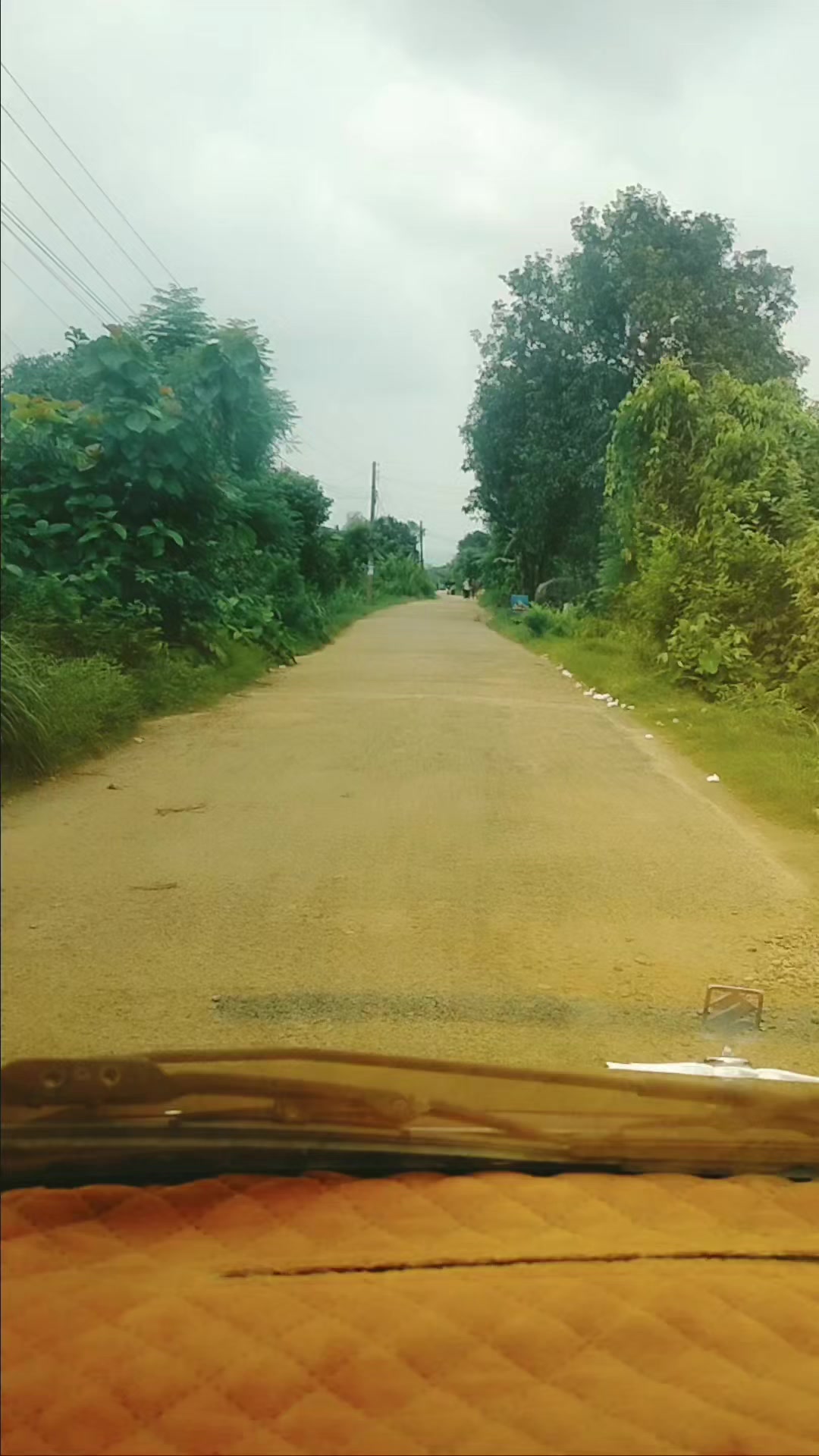 @बासु कोइराला (Basu Koirala)