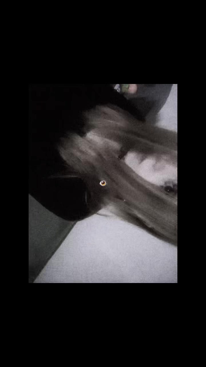 @sshitcaaat