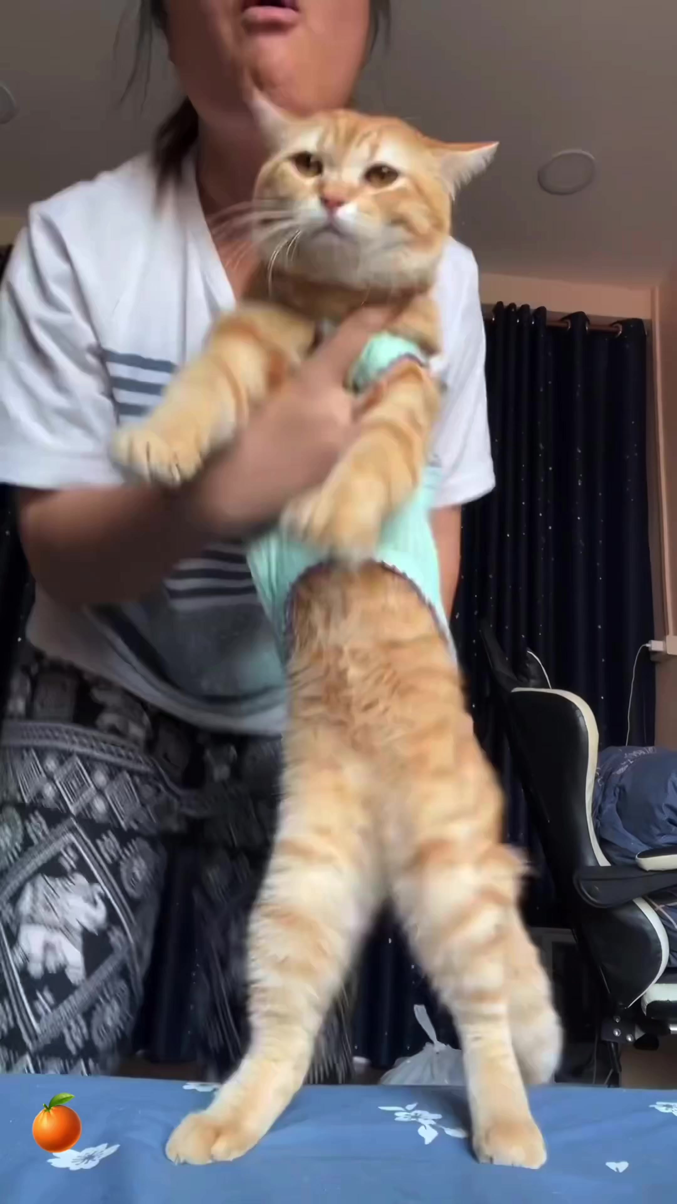 @𝗖𝗔𝗧𝗦