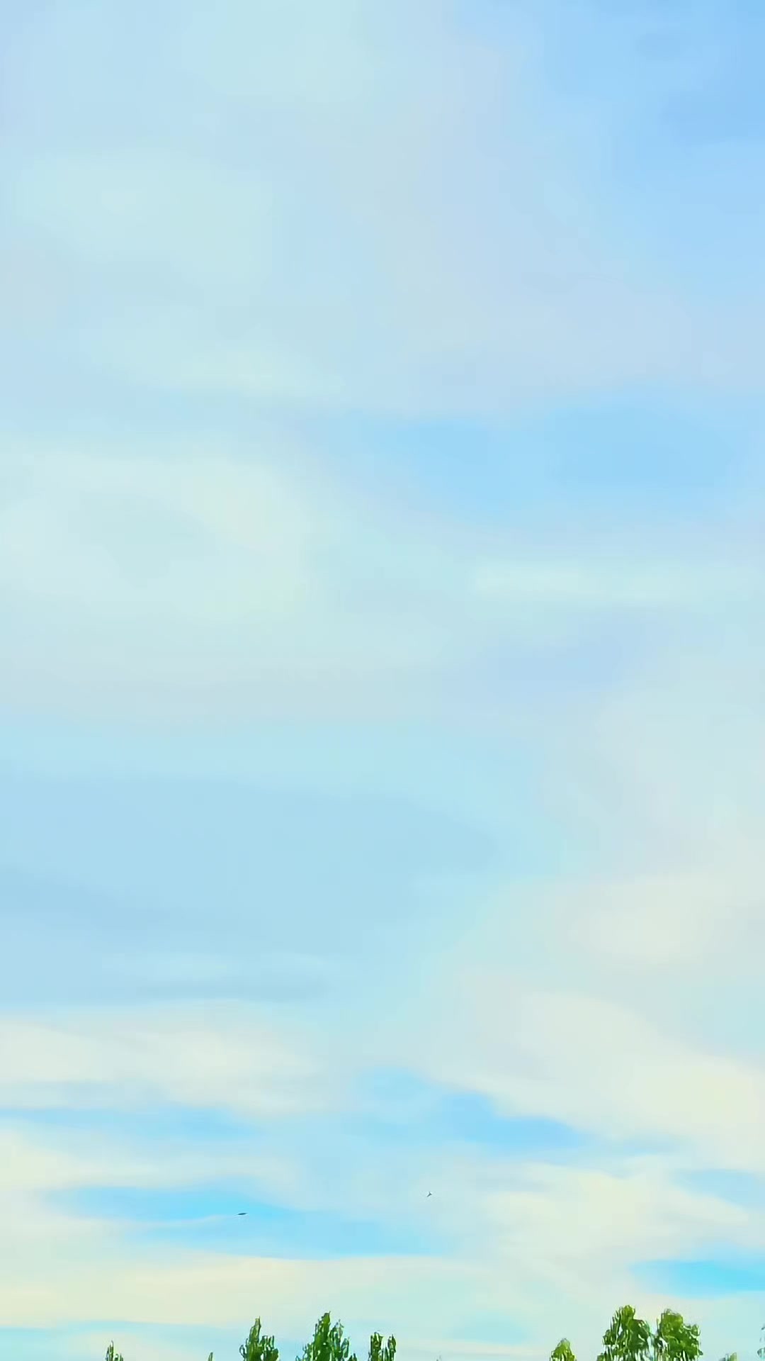 @آفریدی 🦅