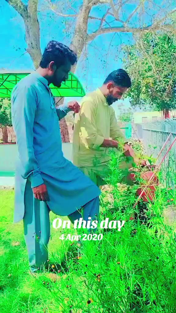 @Zia ur Rehman Minhas