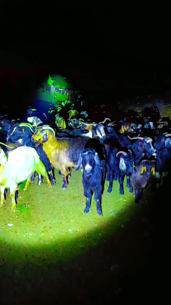 @Yörükoğlu Yaşar 20