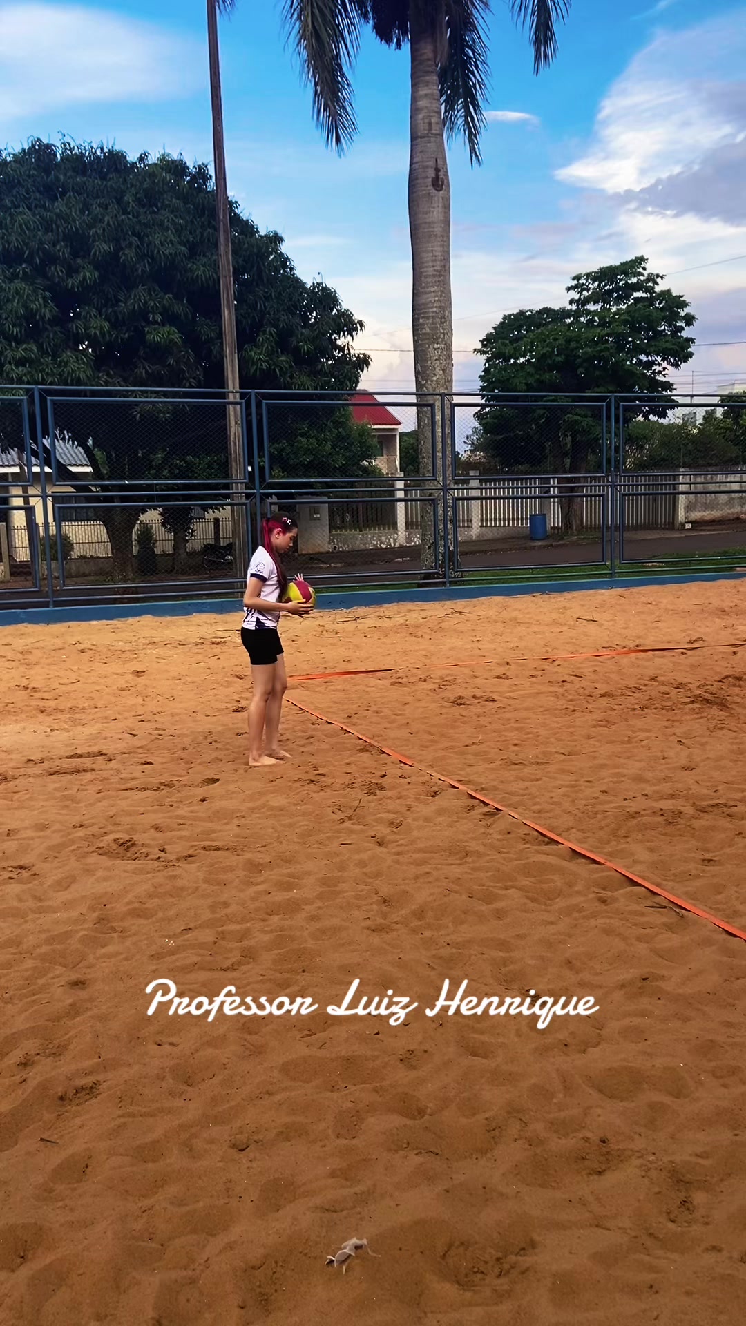 @Professor Luiz Henrique
