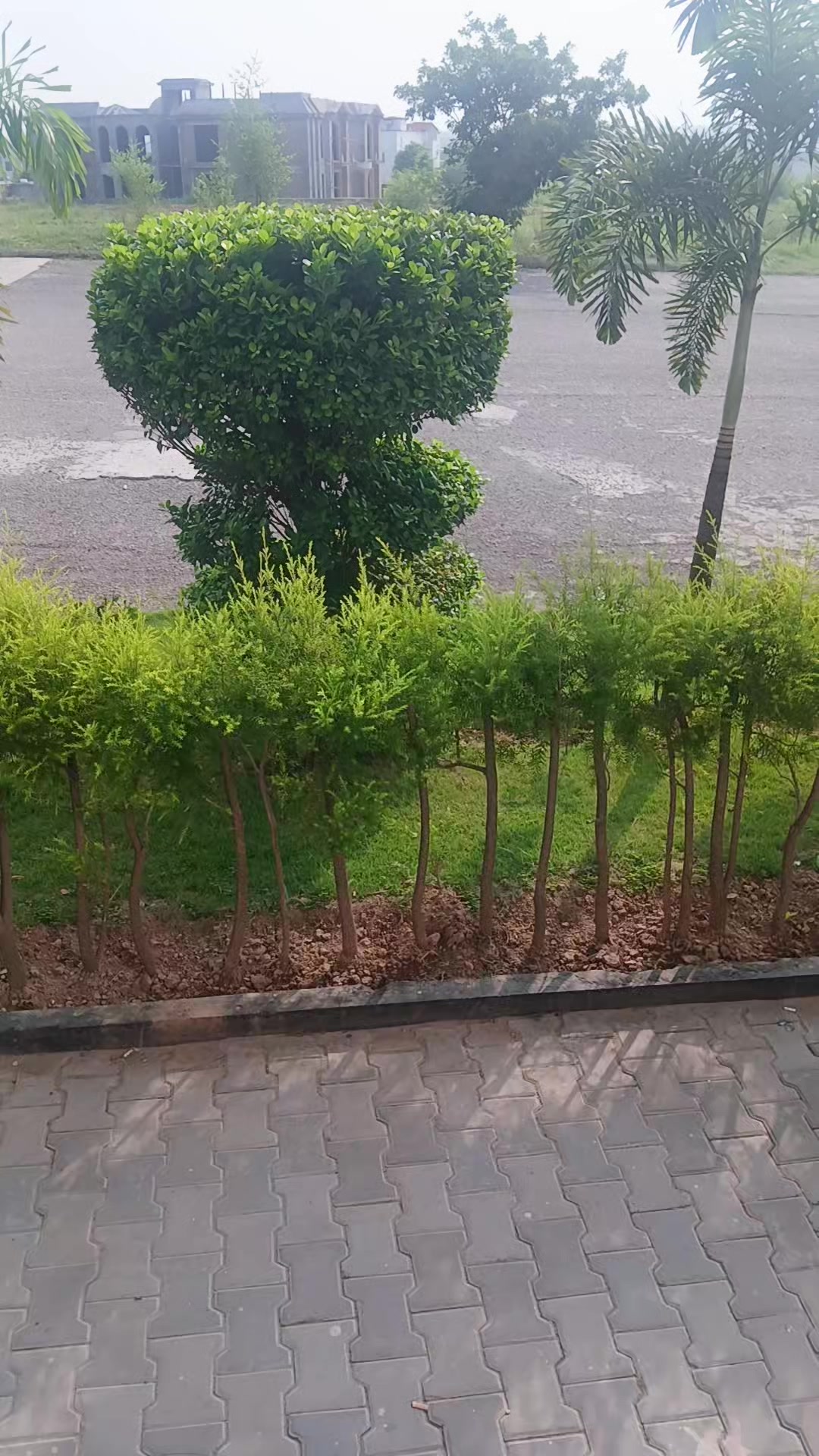 @ISLAMABAD 🤪🤧🎗️🤠🤠