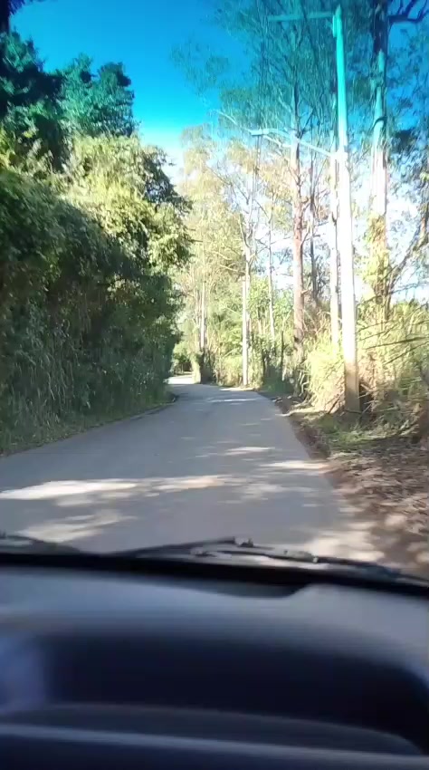 @mariaantonia4563