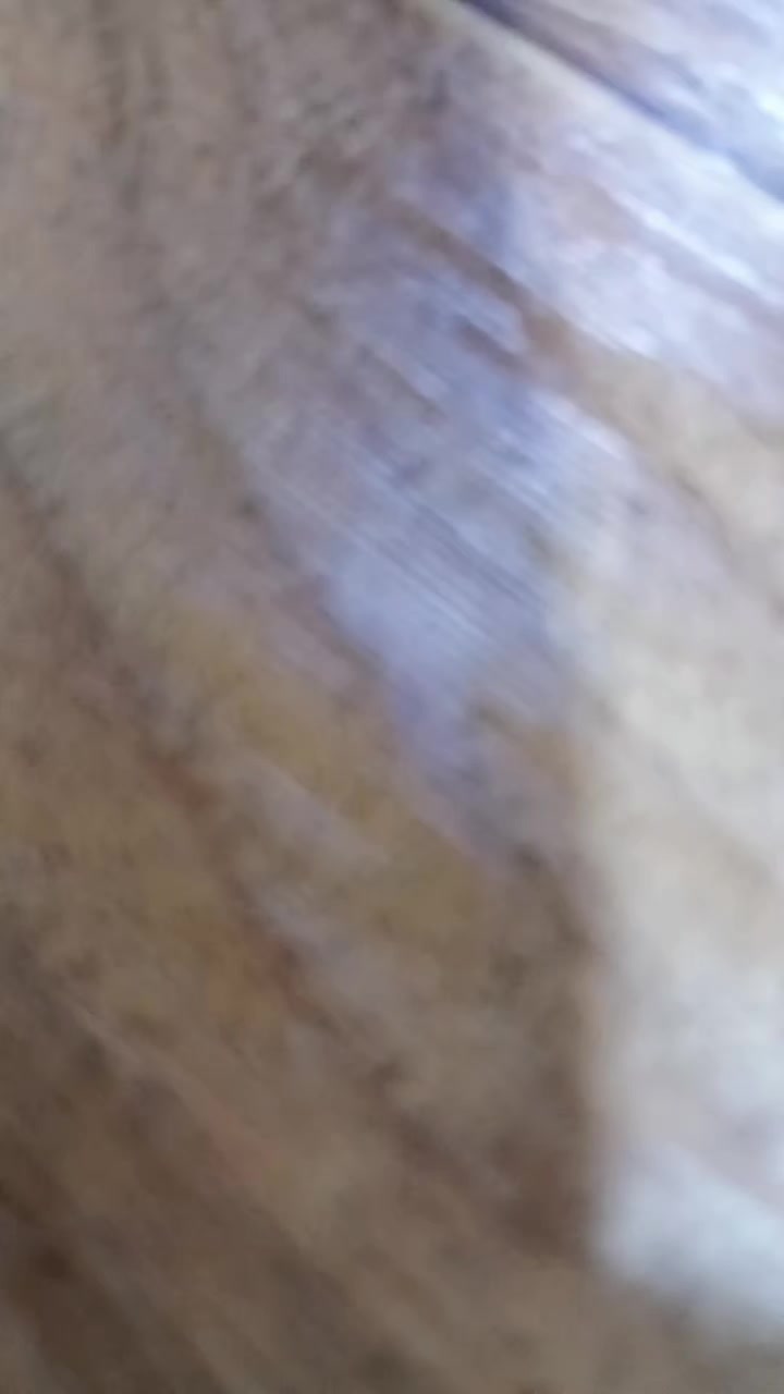 @코닉세그