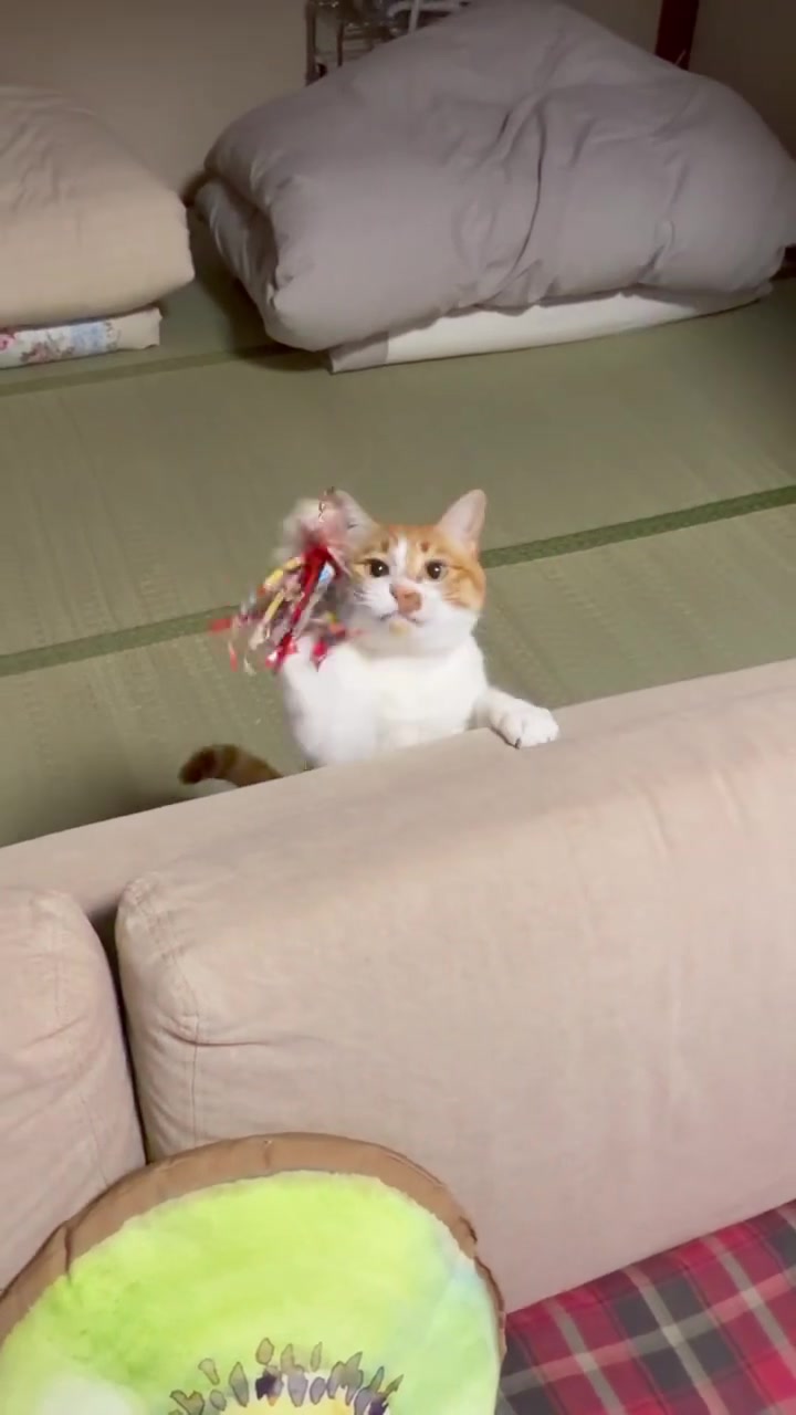 @玉次郎