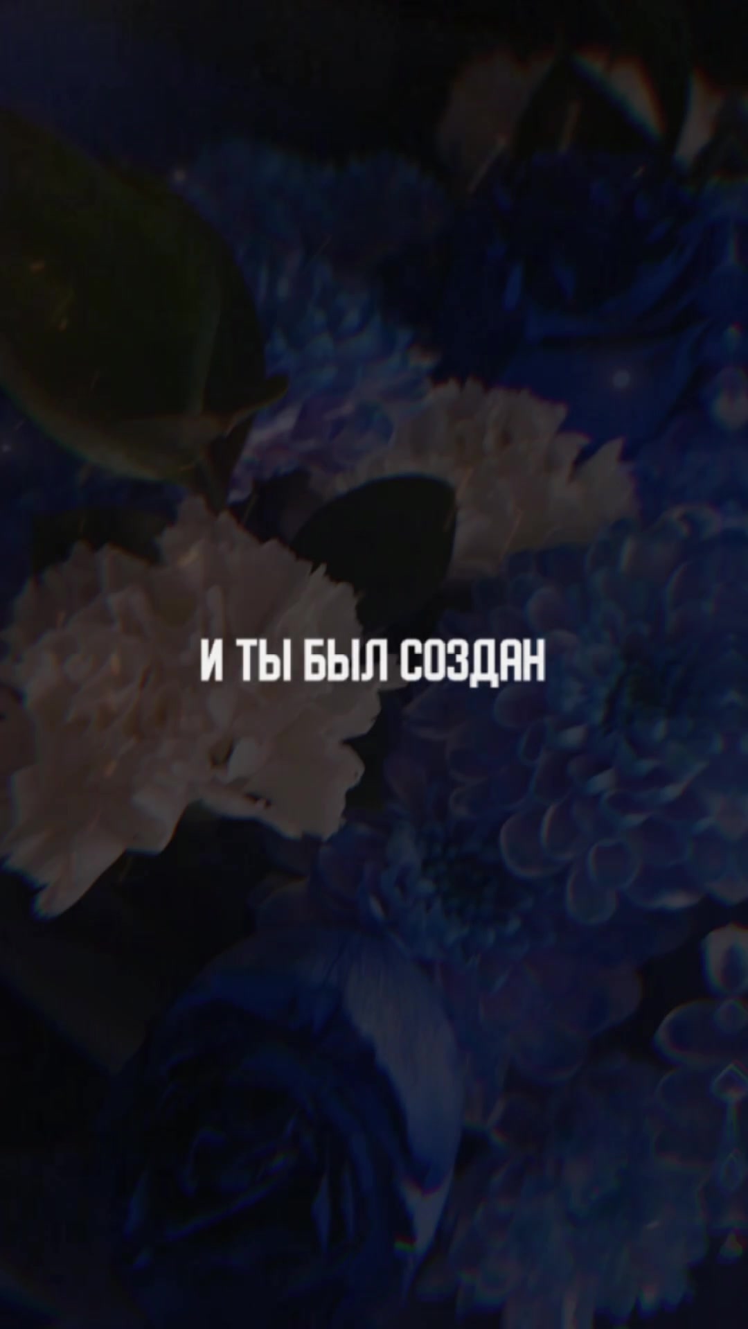 @Полина лебедева