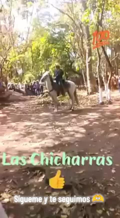@Las Chicharras Chiapas