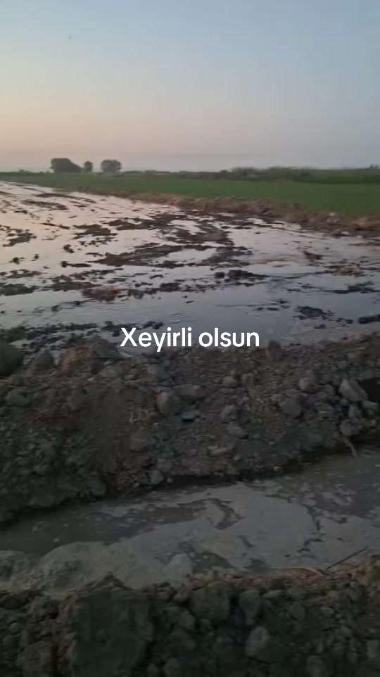 @babaev_96_