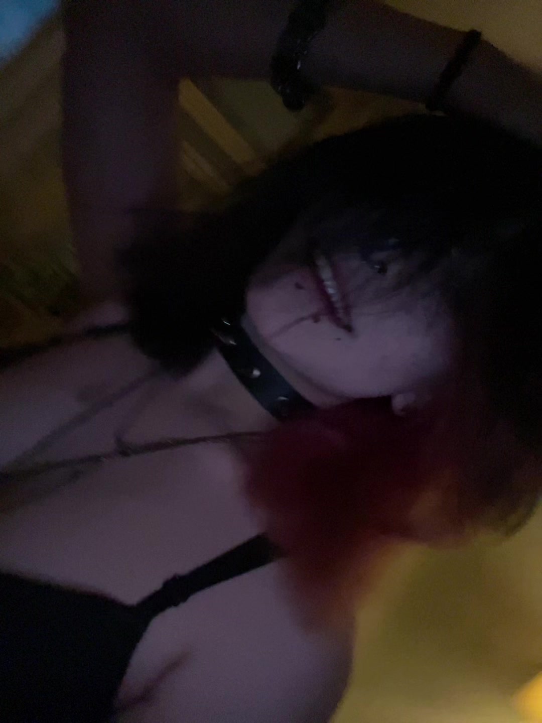 @aokigahara22