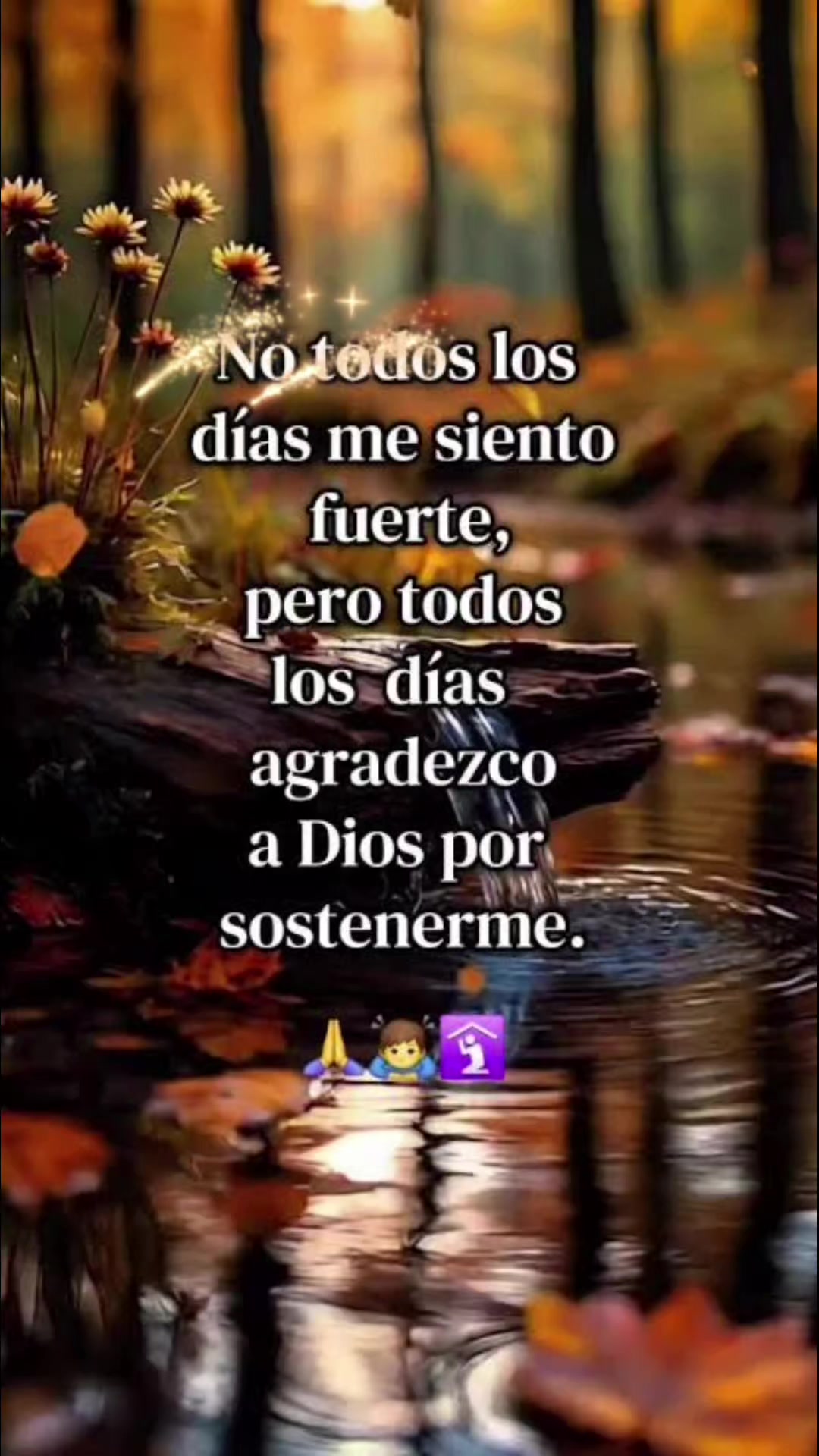 @amparo