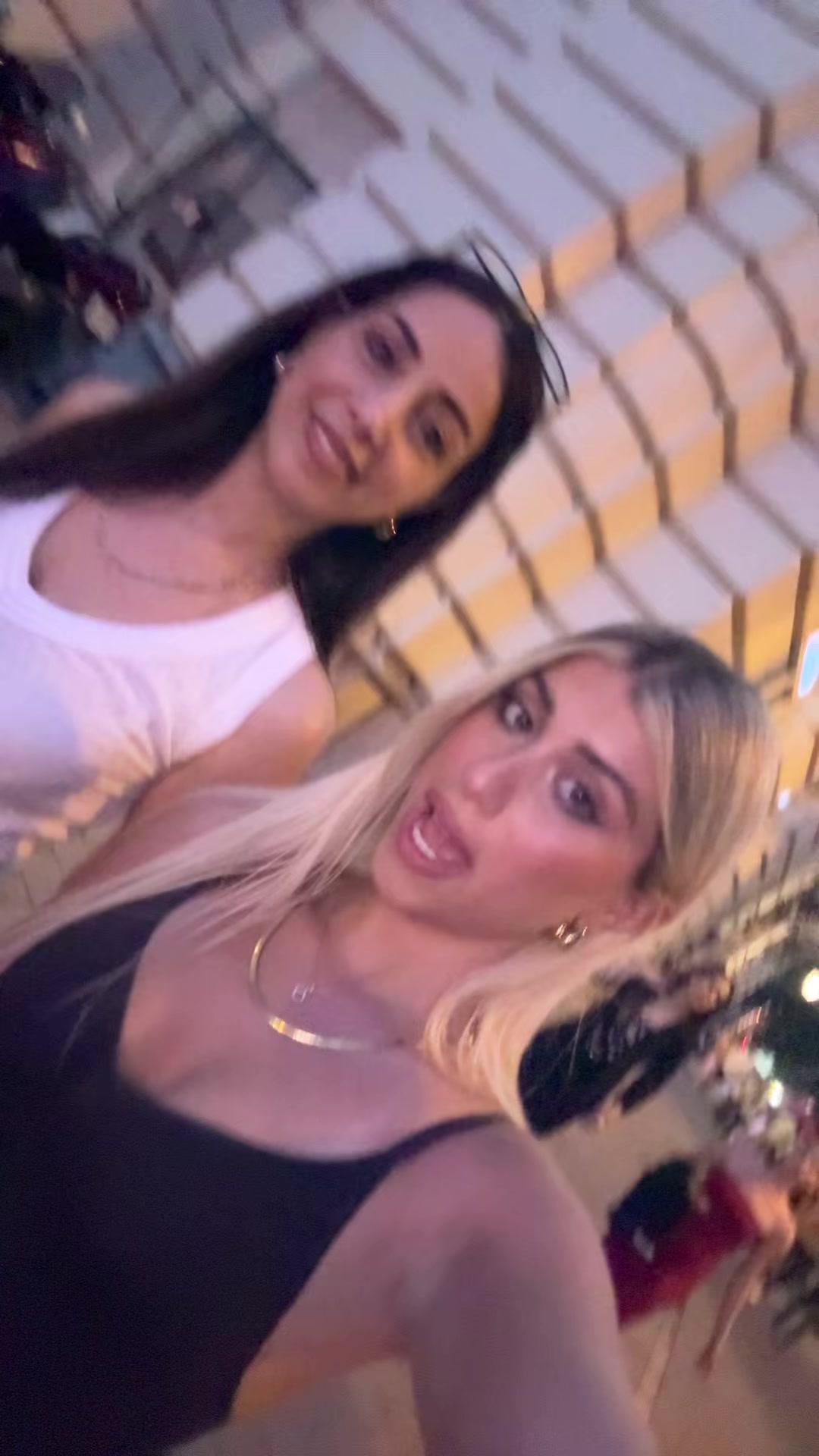 @lironlavi13