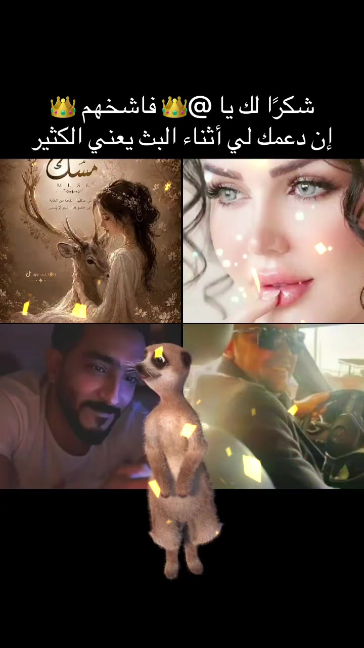 @Musk 🇸🇦 مسك