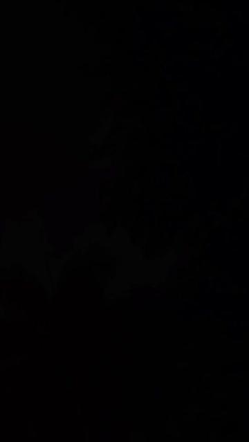 @💔🥹لا حاصل عشق💔🥹
