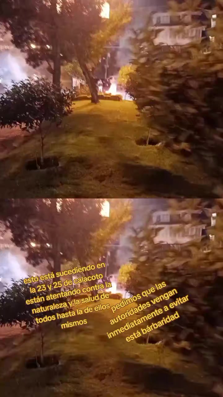 @Doña Señora D