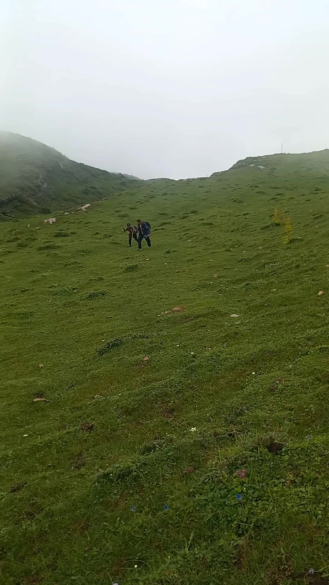 @yam