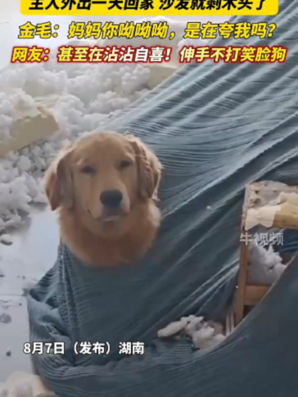 @中国蓝国际