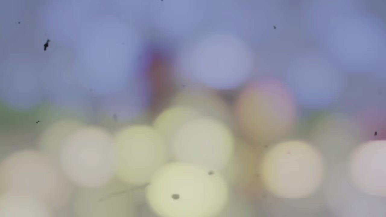@مطلبی یار
