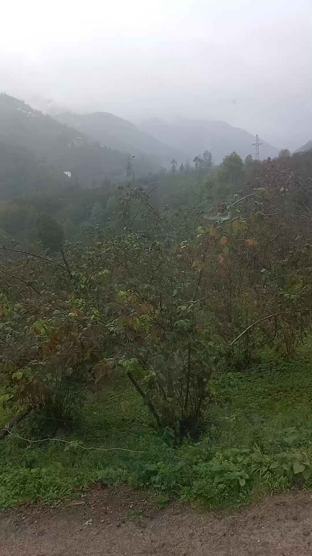@Ayşe