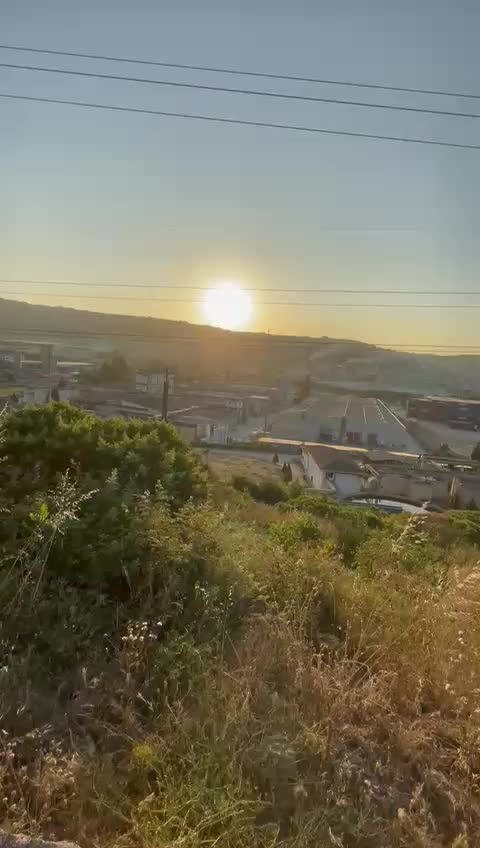 @efe.zrl