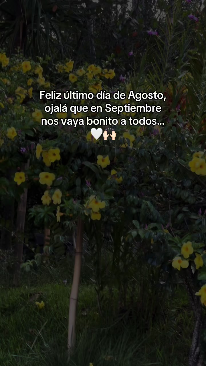 @Jessy Serrano
