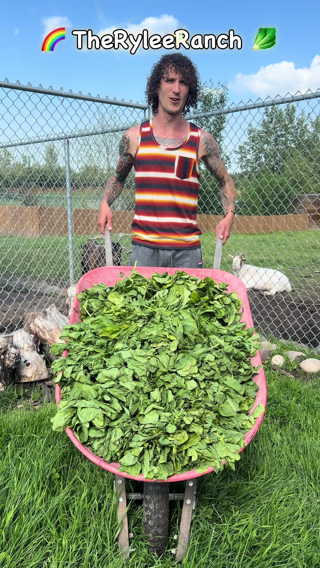 @RyleeRanch