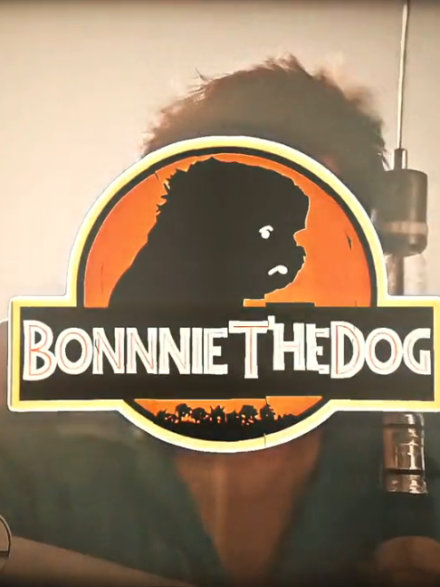 @BTDG (BonnieTheDog)