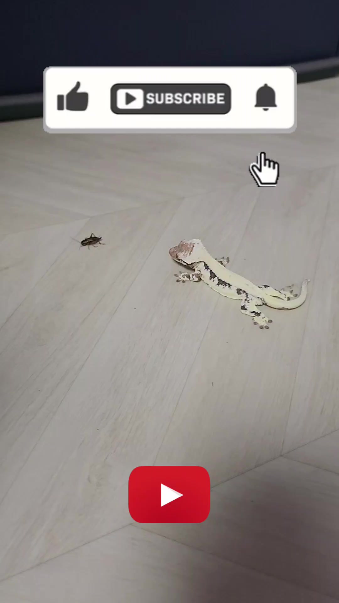 @크레크도- keulekeudo