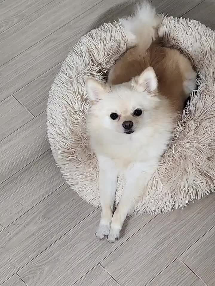 @유희진728