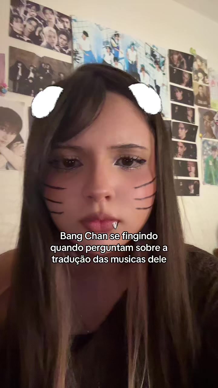 @duh bang chan da silva