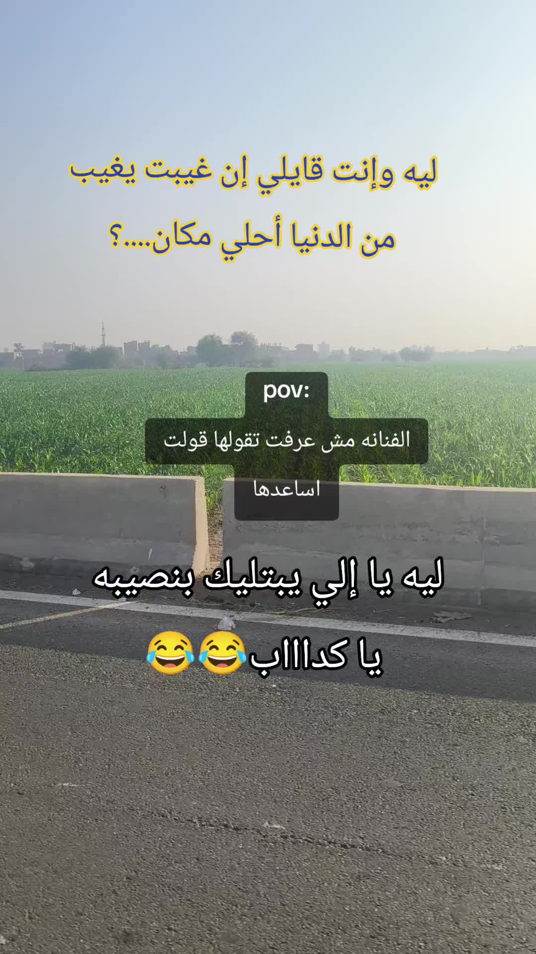@Shrouk Mohamed