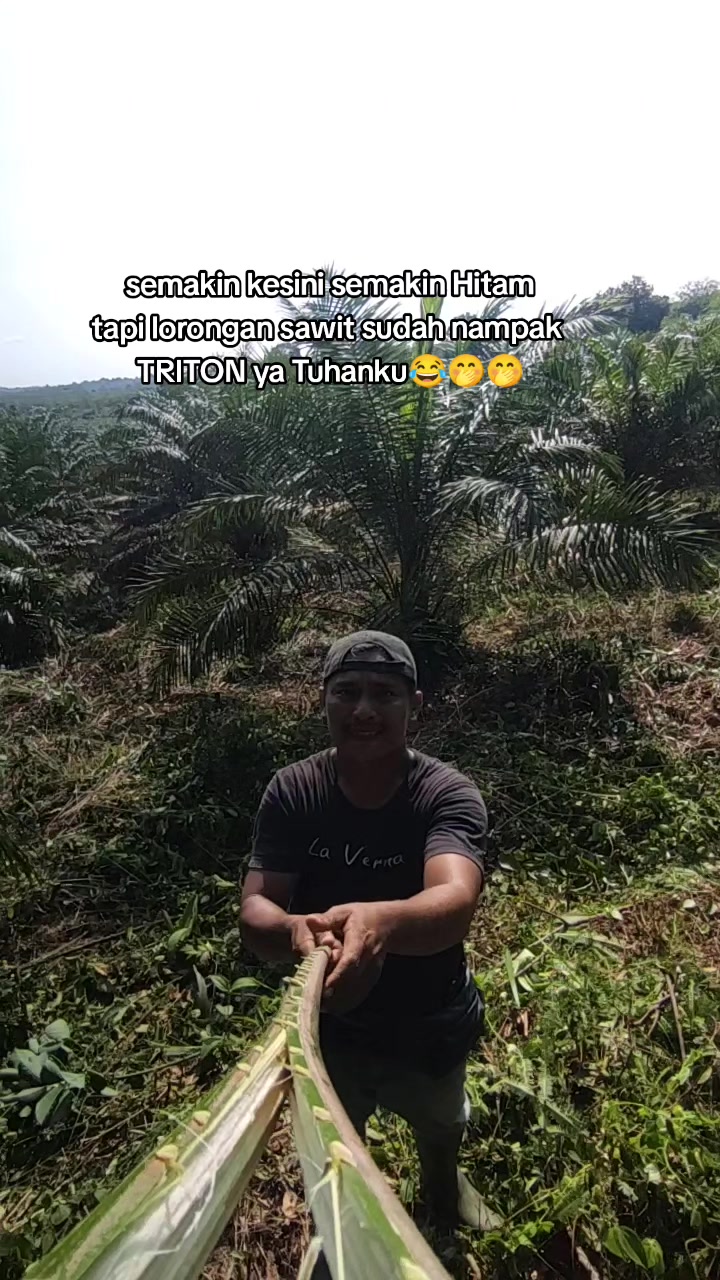 @Rinto Simarmata