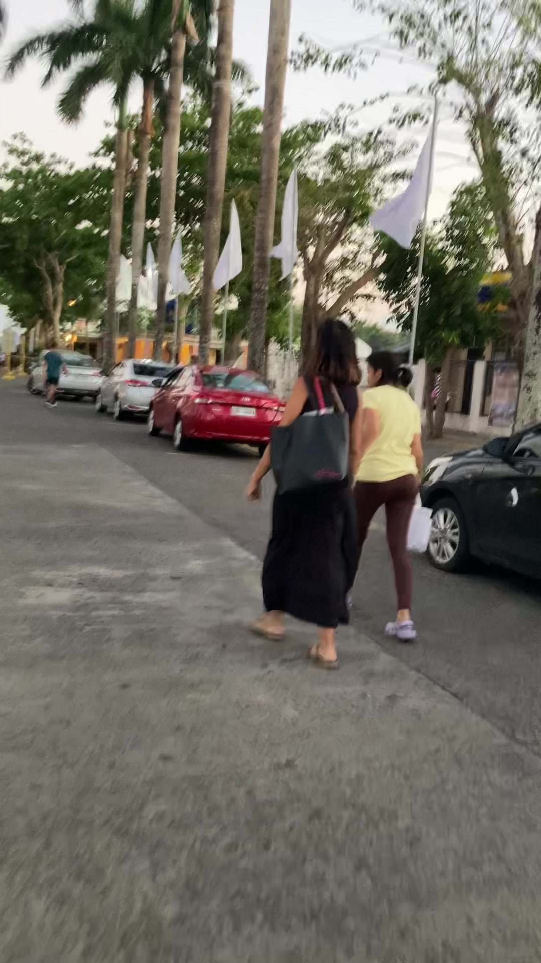 @Maria Lourdes Bolaños Bravante