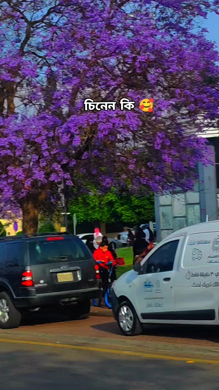 @★_Arfan🥀__★ Islam🥀__★ Sohag_