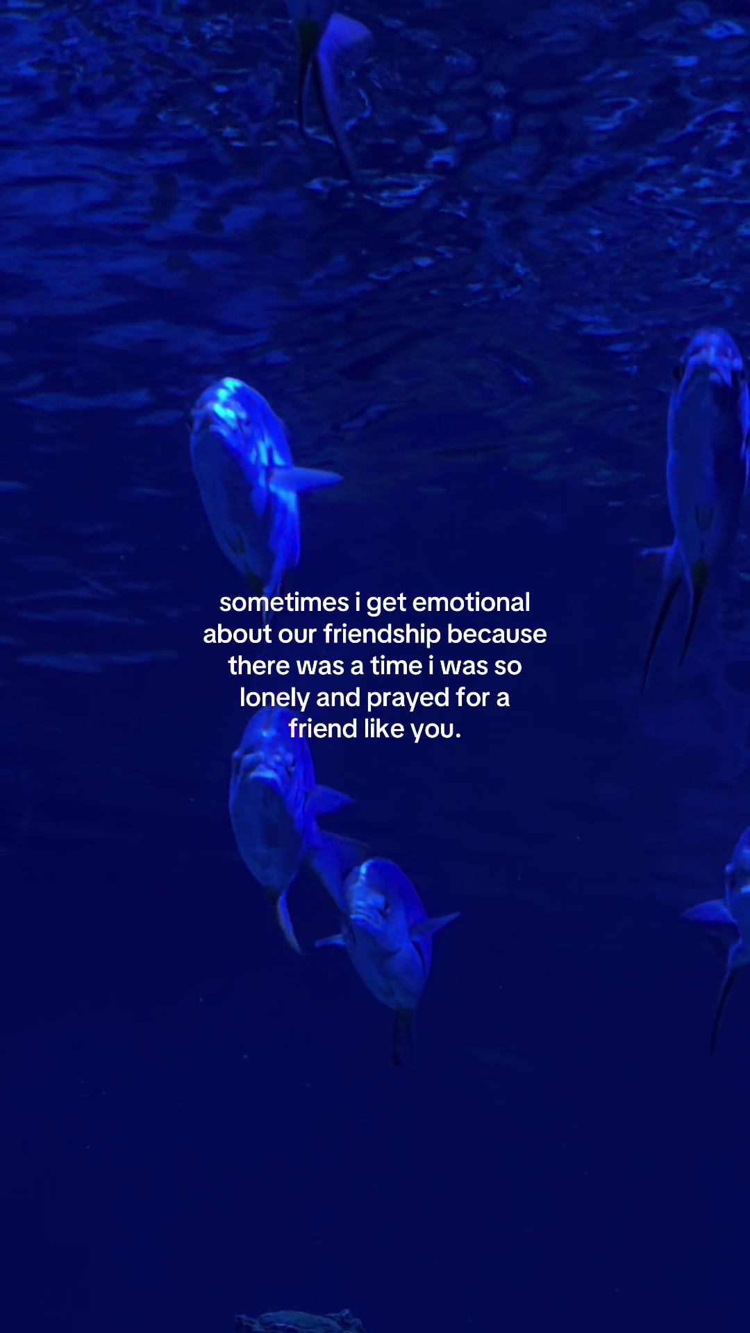 @something i couldn&rsquo;t say