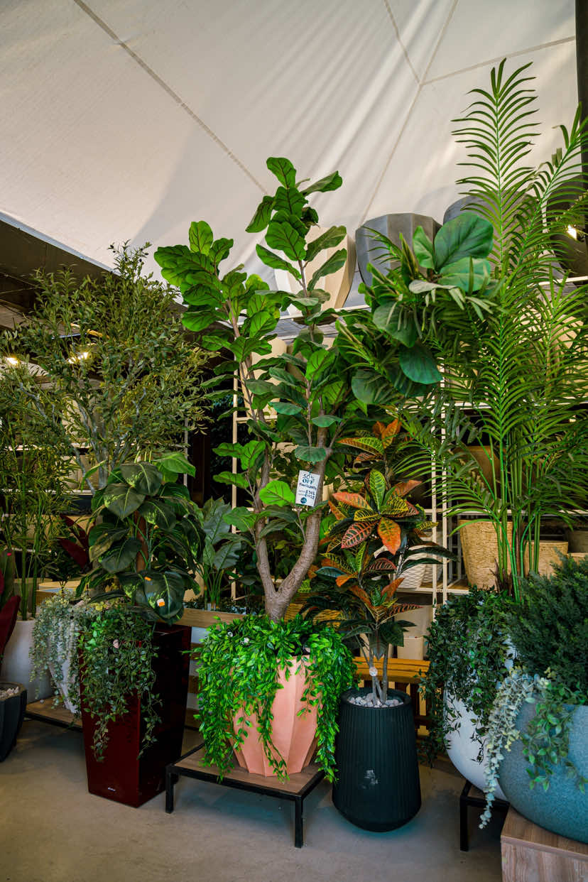 @Macetare Garden Shop Ecuador