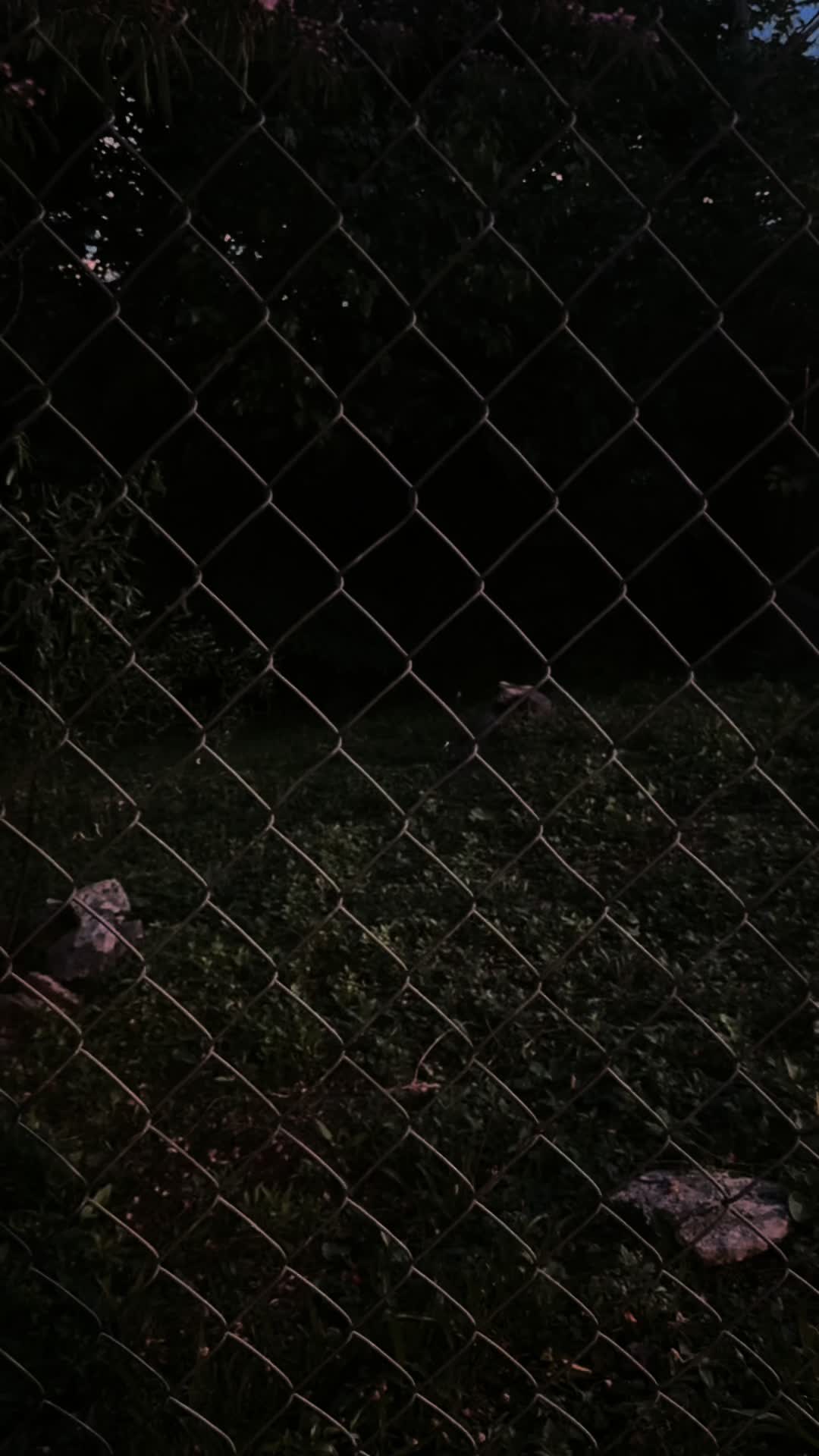 @zzzzzzzzzzzzzzzzzzz