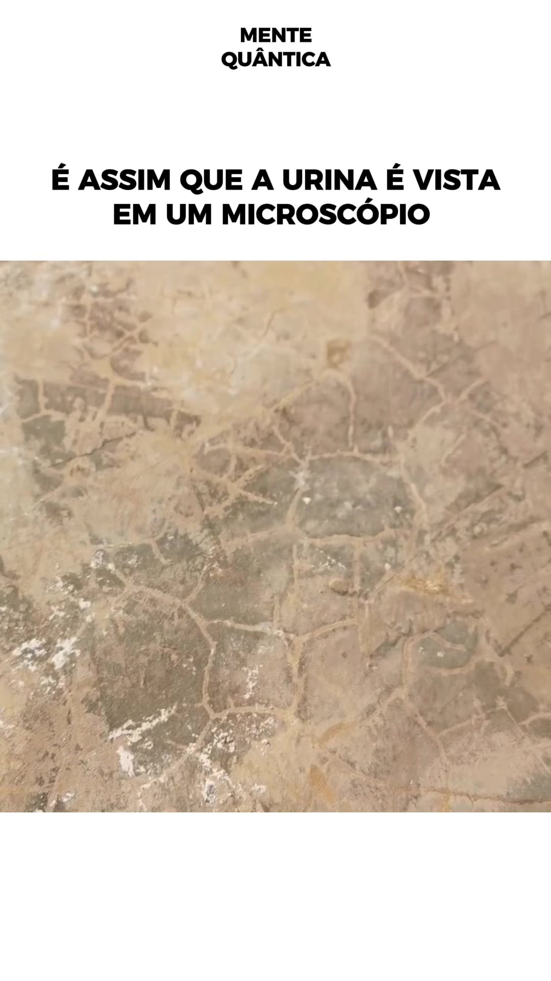 @Mente Qu&acirc;ntica