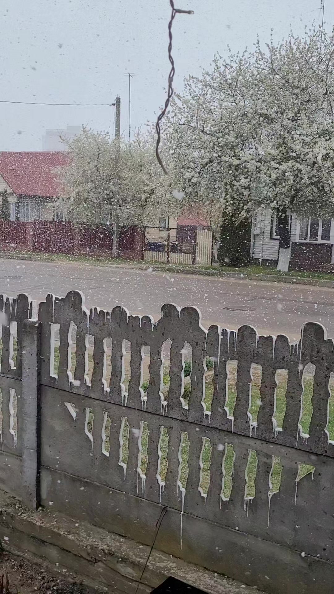 @Светик