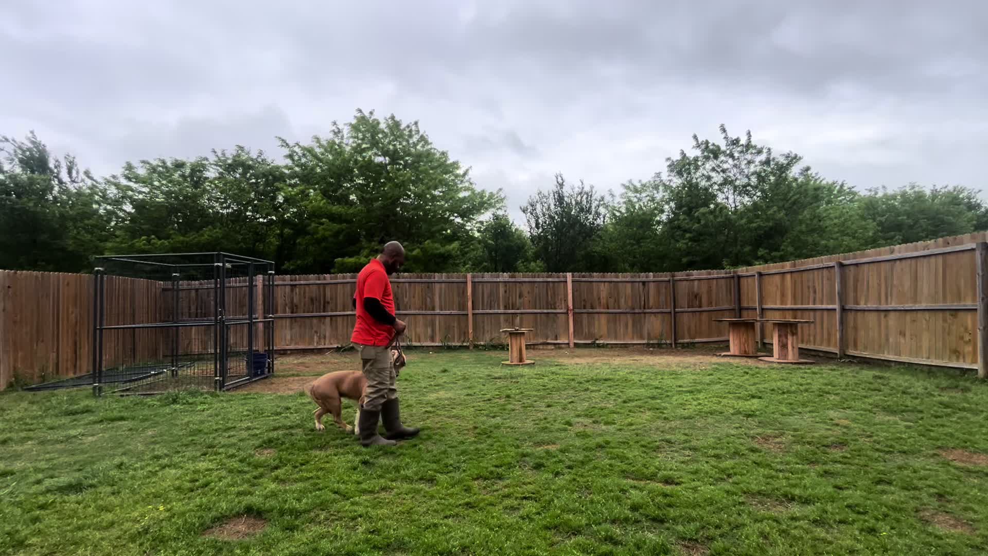 @HardBody K9 Training