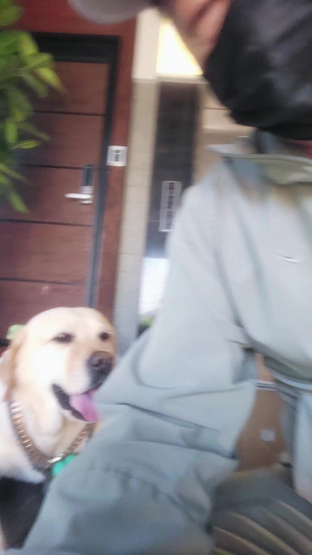 @Leo.willy choi.최원제.