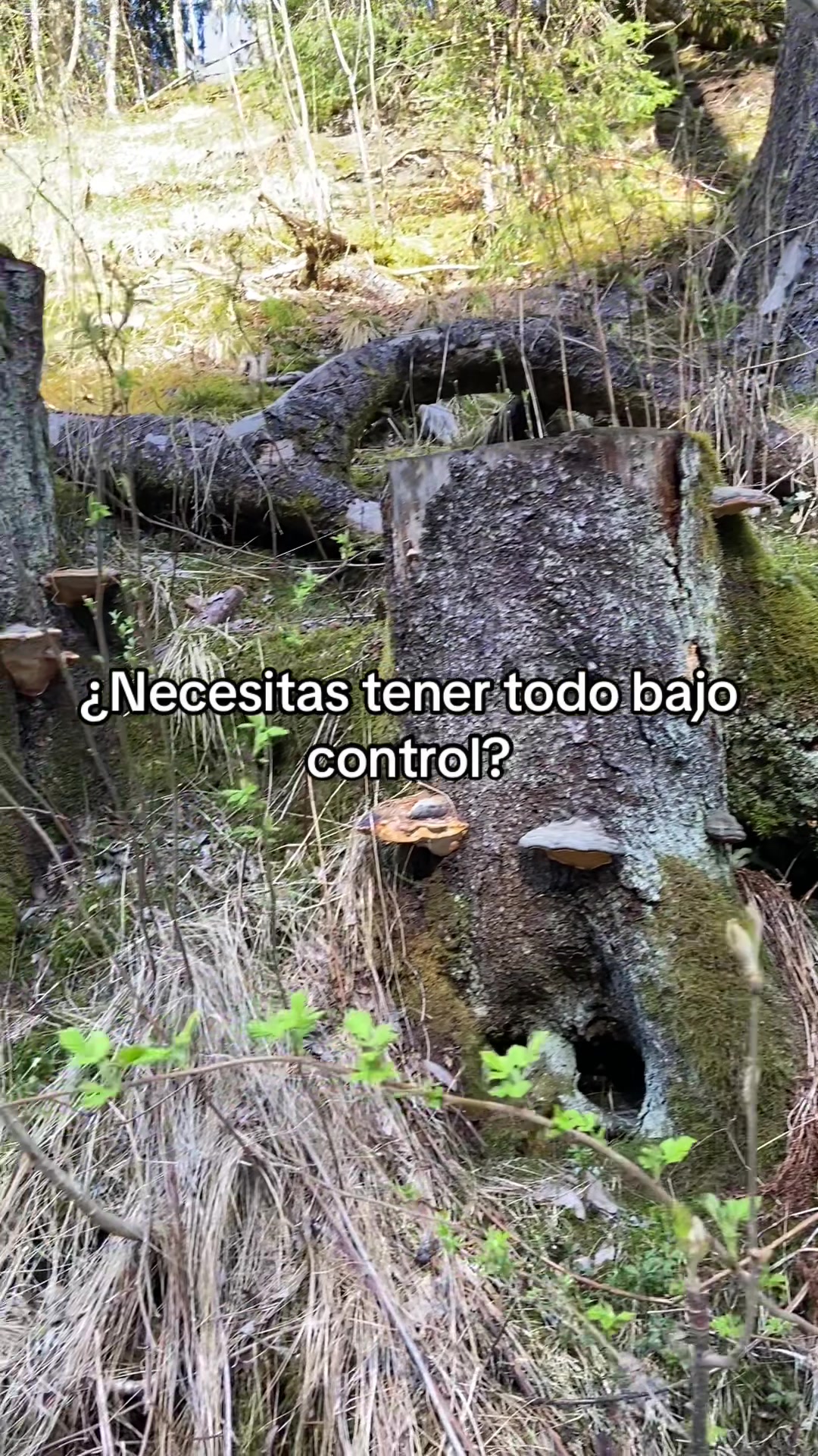 @Ana Garla