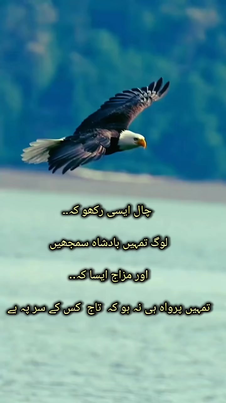 @zar_e_nayaab