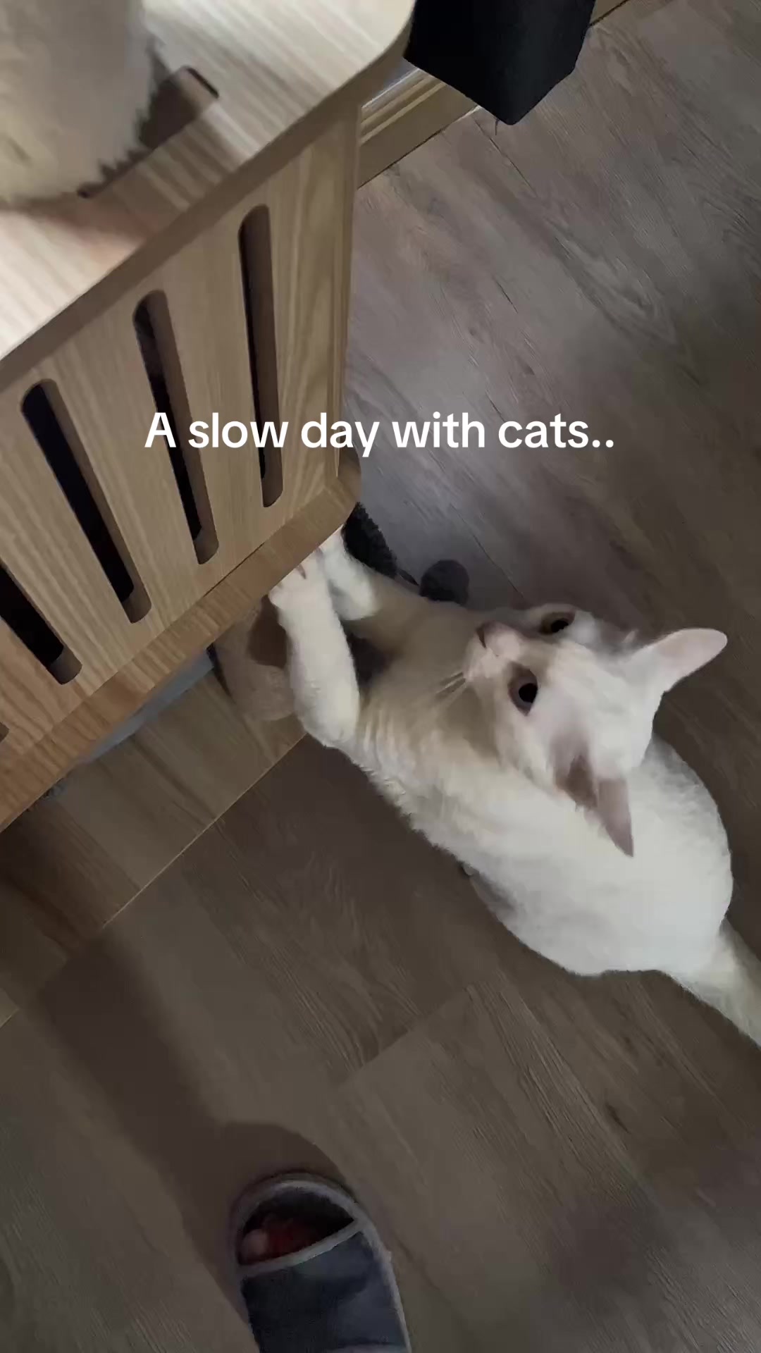 @KaoYhong