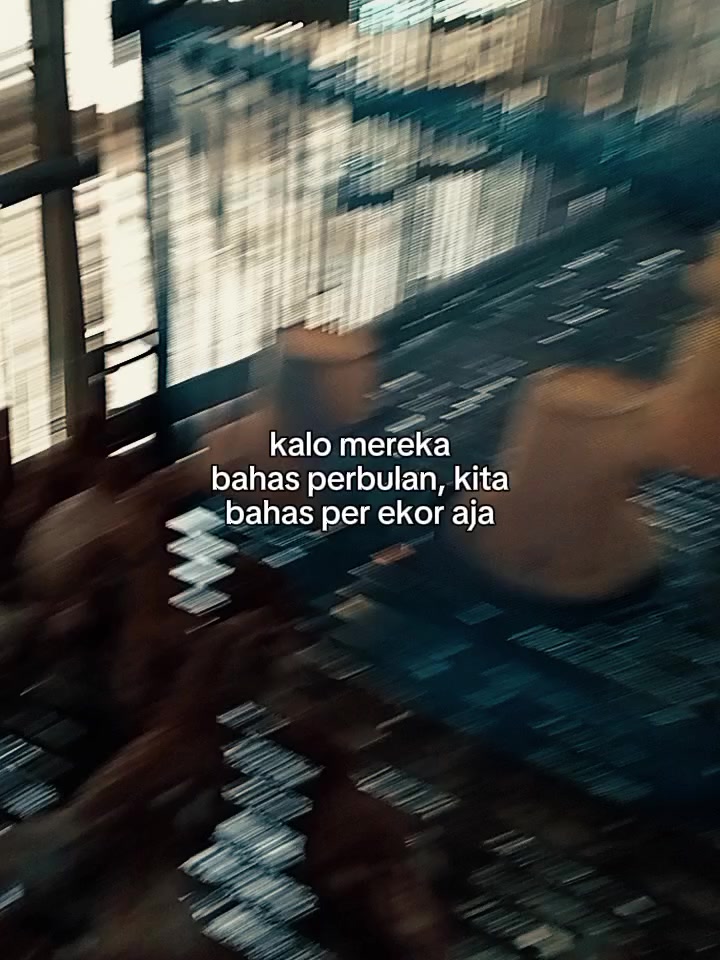@subardibardi
