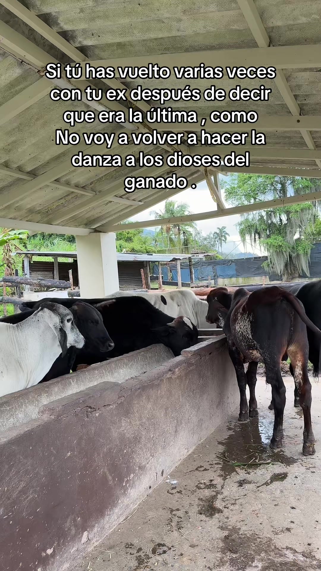 @Eli L&oacute;pez 🦜 team periquito 🫀