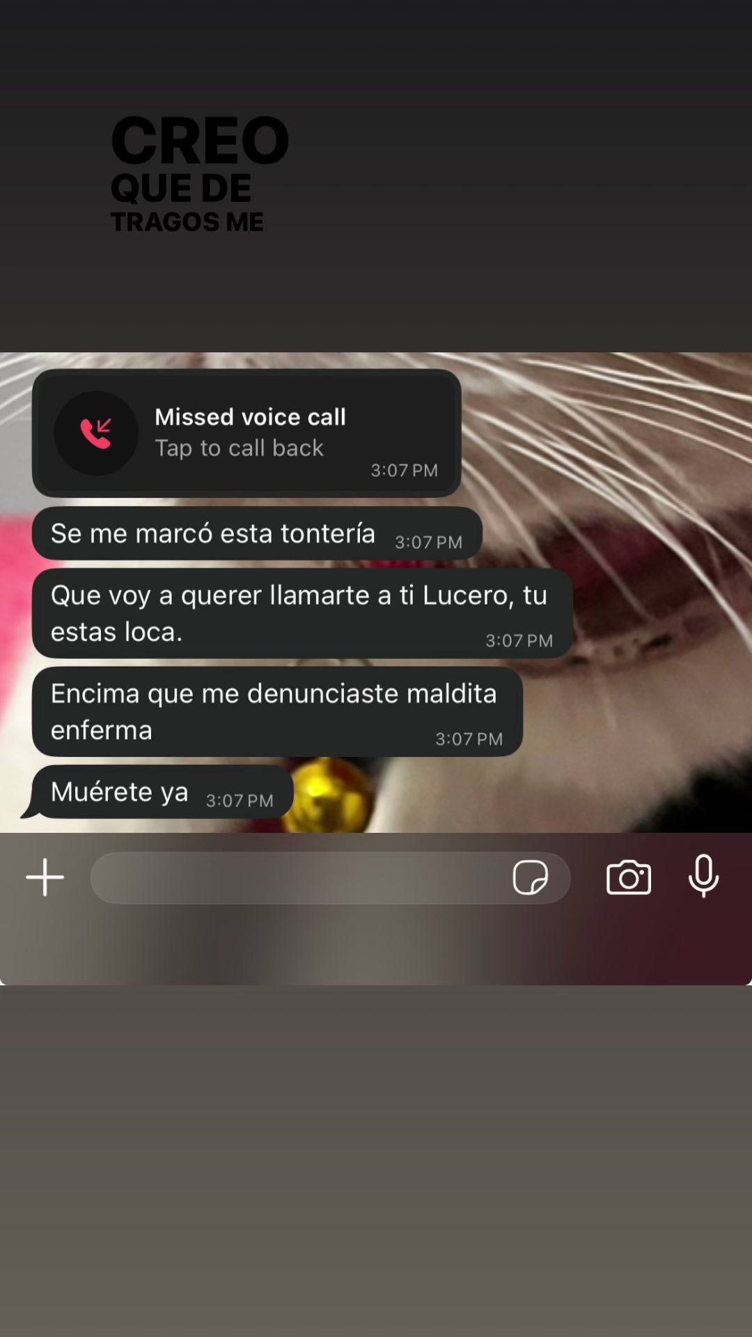 @la pequeña lulu!