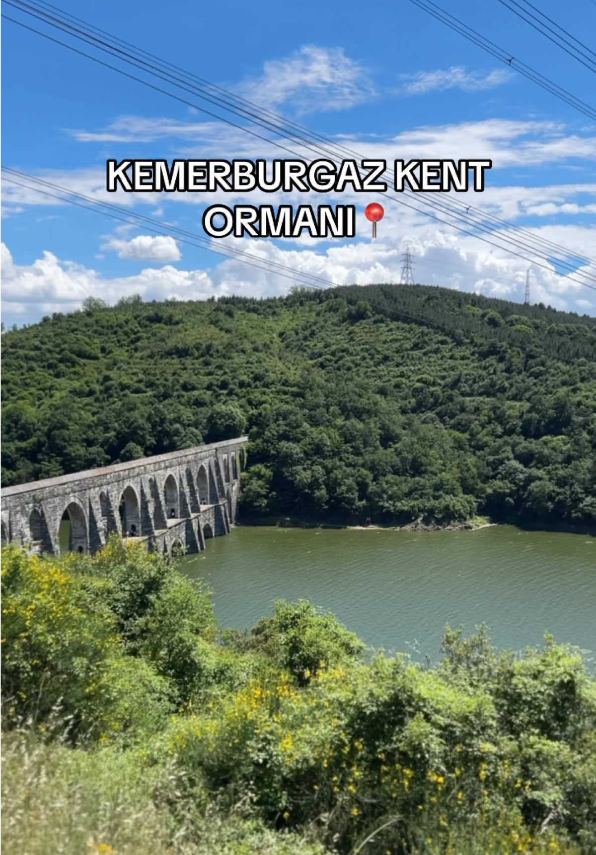 @cemrenur