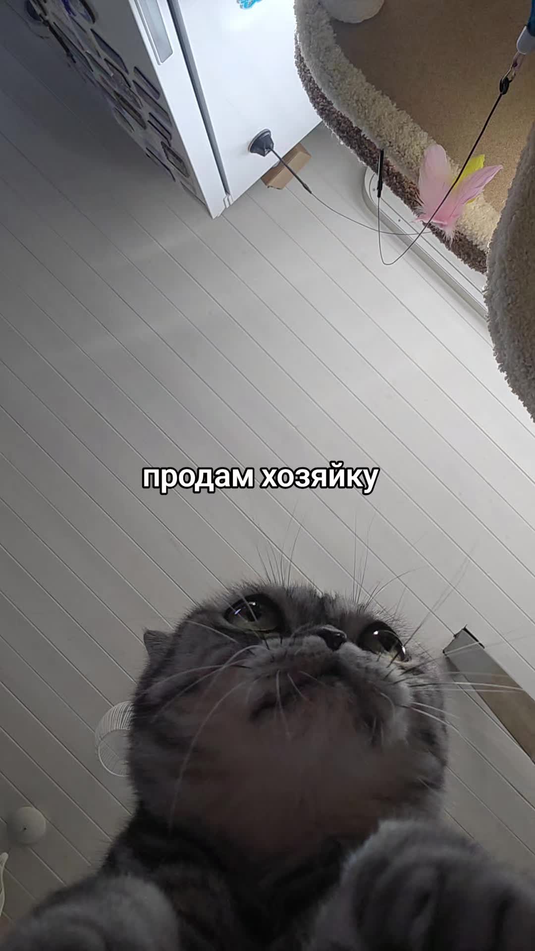 @𝙑𝙚𝙧𝙝𝙤𝙫𝙣𝙖𝙮𝙖